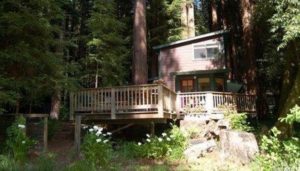 Auction Lot #02 Getaway in the Redwoods