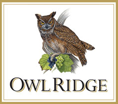 Owl Ridge