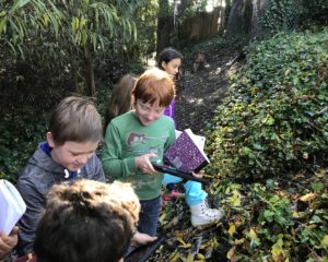 Friends’ Flickers – After School Nature Connection